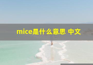 mice是什么意思 中文